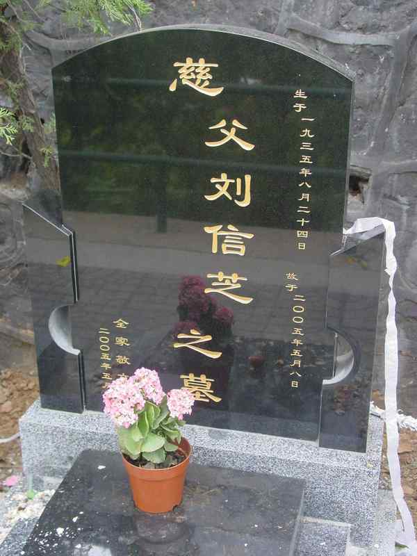 刘信芝照片