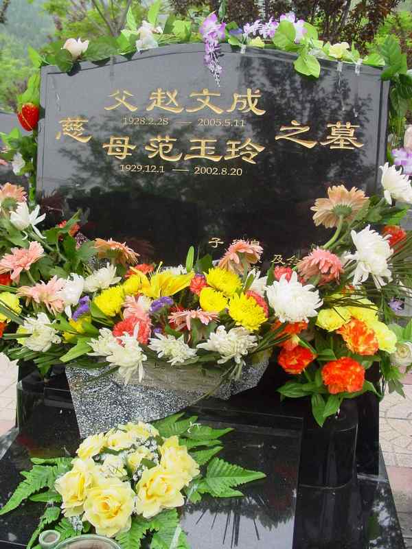 赵文成照片