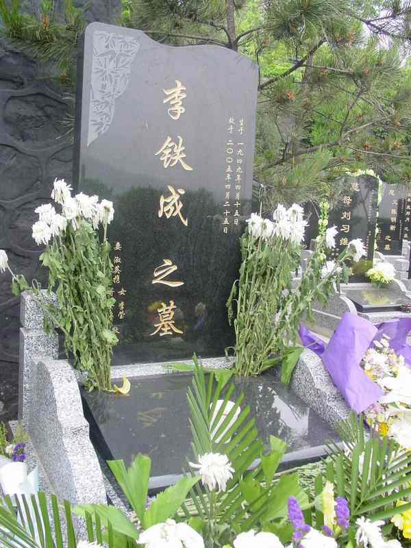 李铁成照片