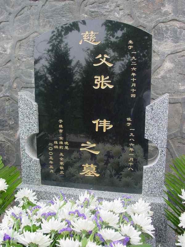 张伟照片
