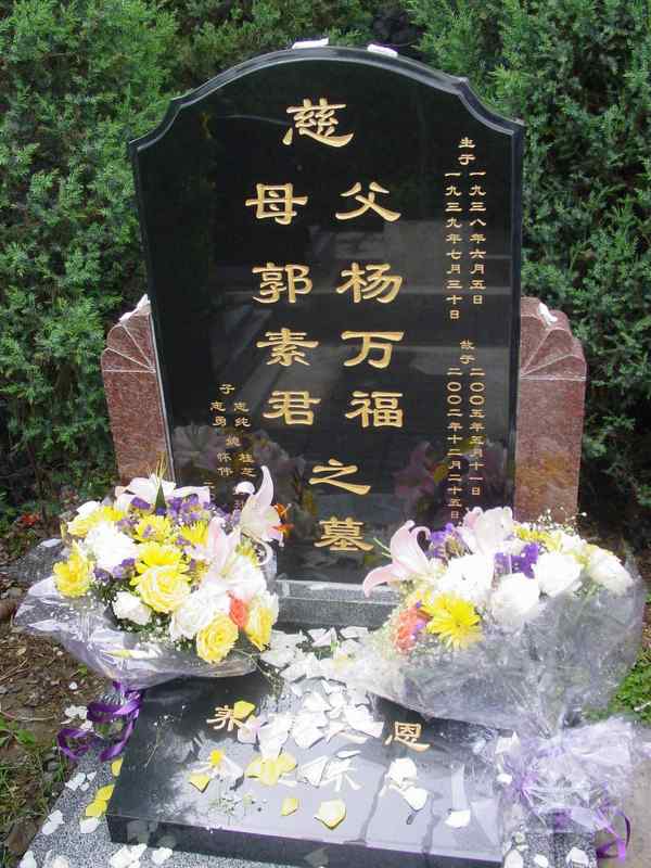 杨万福.郭素君照片
