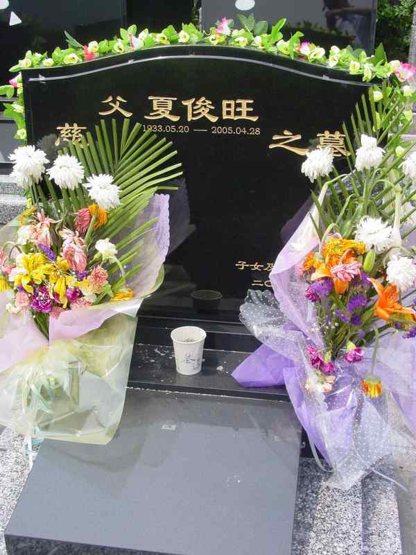 夏俊旺照片