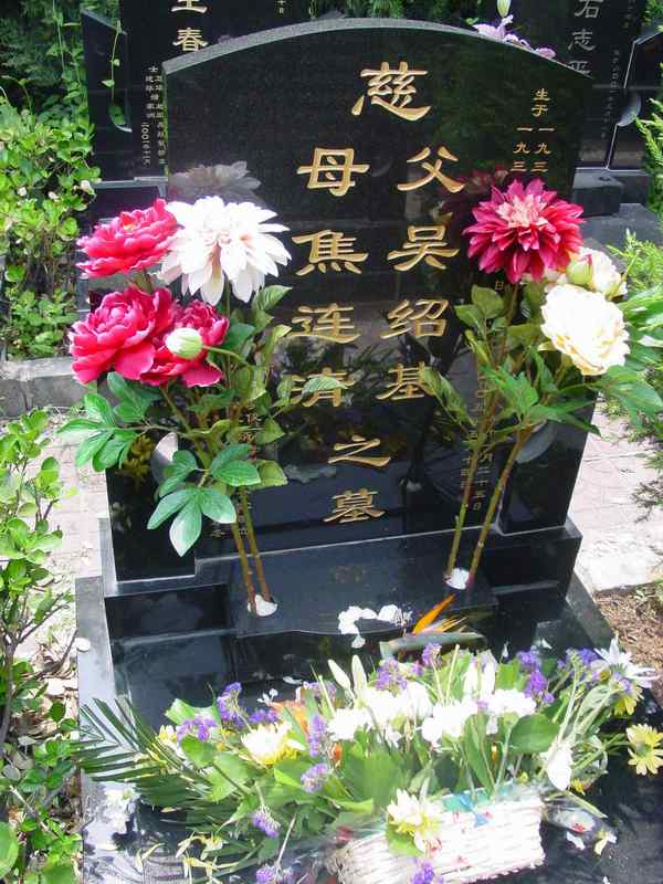 吴绍基.焦连清照片