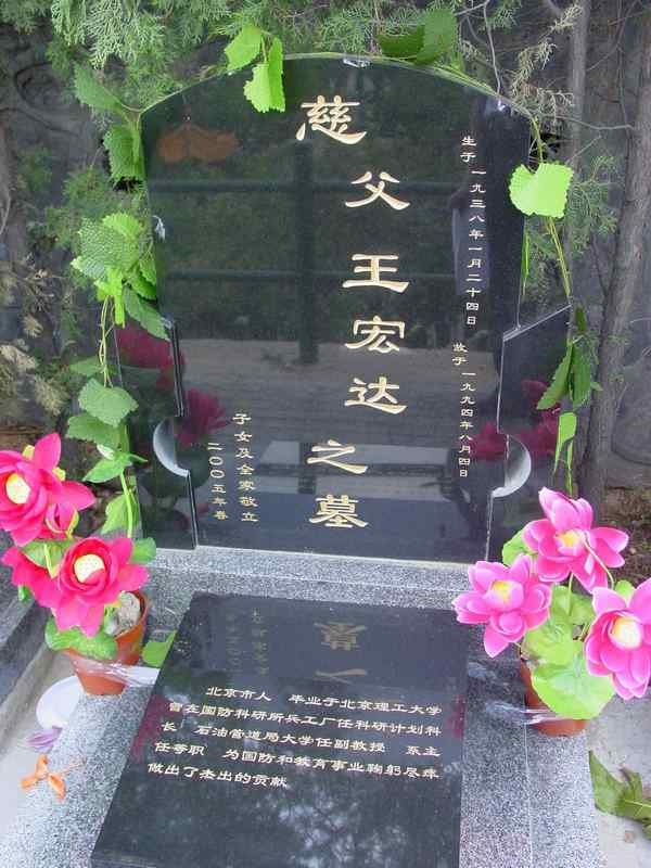 王宏达照片