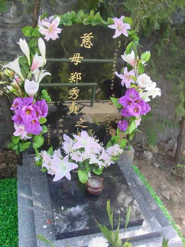 郑秀贞照片