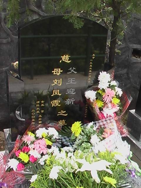 刘凤霞照片