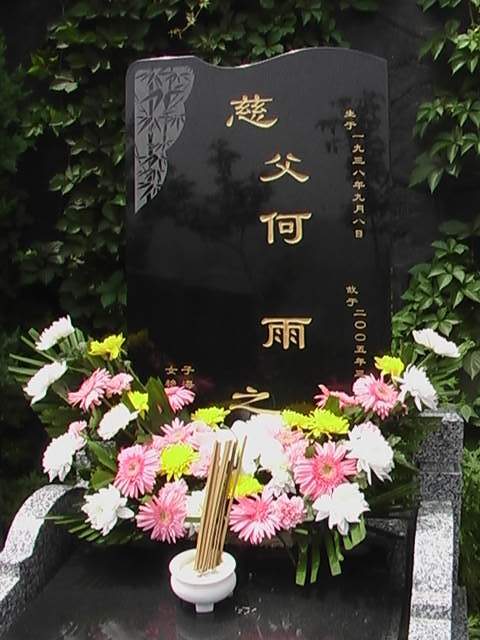 何雨照片