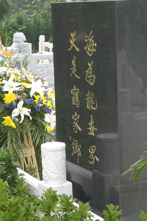 李鹤年大人：~海为龙世界，天是鹤家乡~照片