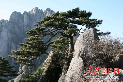 纪念奶奶照片