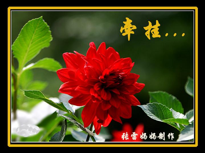 Ϊȥҵ˼,ҵǣ._歼_net