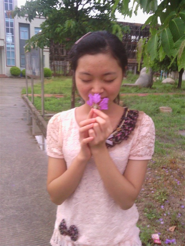 图片资料